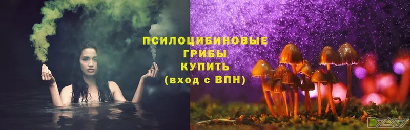 Псилоцибиновые грибы Cubensis  Белинский 